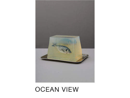 Ocean View — portion of the ocean