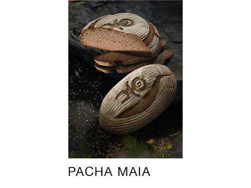 Pacha Maia — glutenfreies Urbrot